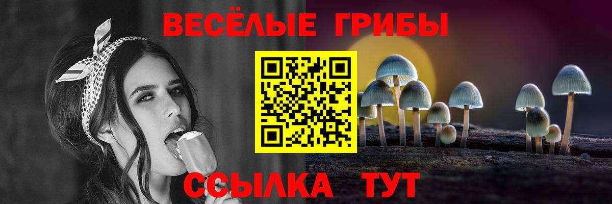 Галлюциногенные грибы Psilocybe Трёхгорный